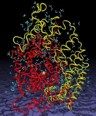 FTase crystal structure