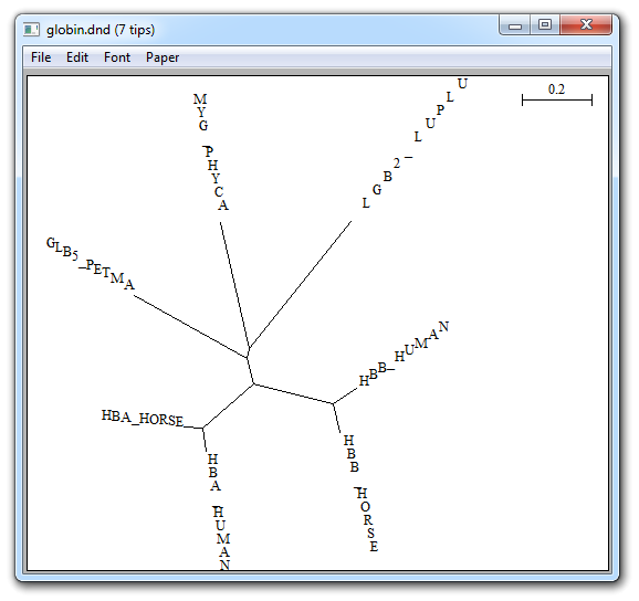 Unrooted main window